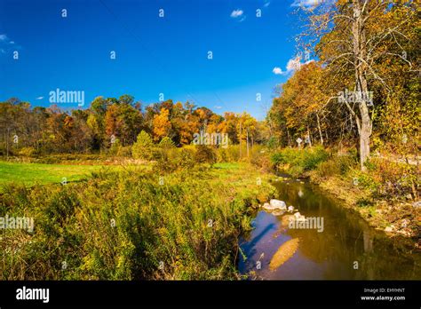 Early Autumn Color Along A Creek In Rural York County Pennsylvania