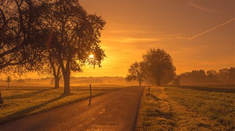 Scenic Road Sunrise Sunset Trees Meadow Trees Wallpapers Sunset
