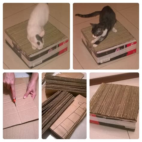 Diy Cat Scratcher House Shoebox Uses 18 Easy And Creative Diy Ideas