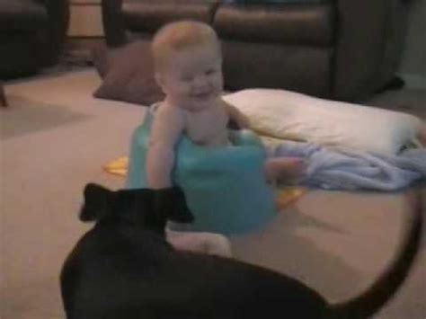 Little baby having fun at bath with the dog. baby laughing at dachshund weiner dog - YouTube