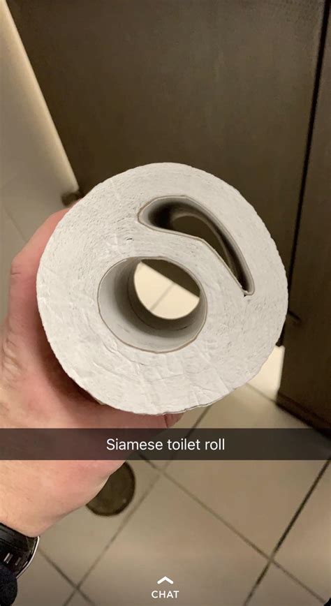 This Toilet Paper Roll With 2 Cardboard Tubes Right Out Of The Package