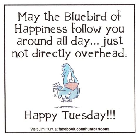 Hilarious Tuesday Quotes Quotesgram