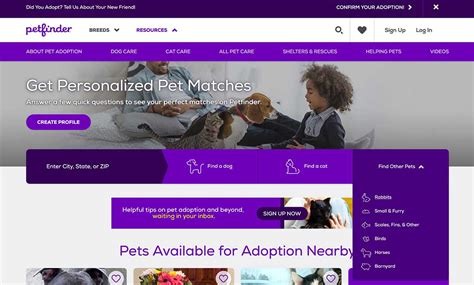 7 Best Pet Adoption Websites To Find A Furry Friend