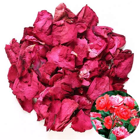 We did not find results for: TooGet Dried Natural Real Red Rose Petals Organic Dried ...