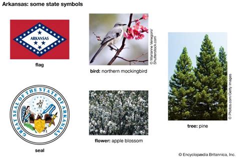 Arkansas State Symbols Kids Britannica Kids Homework Help