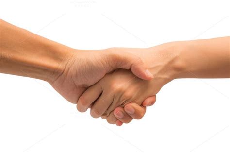 Business Shake Hand Action Shake Hands Shakes Hands