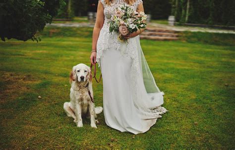 How Do I Have A Dog For A Wedding