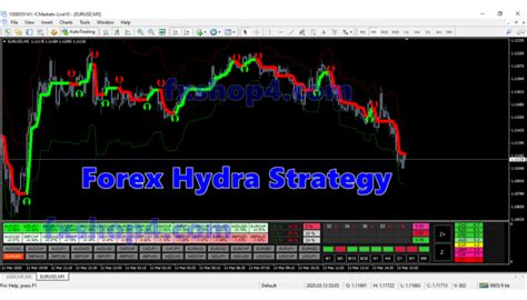 Forex Hydra Strategy