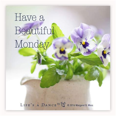 Monday | Good morning flowers, Beautiful monday, Monday ...
