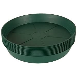 【super preferential package】this package includes 6 pack of 12 inch plastic plant saucers with great quality and good price; Amazon.com : Hydrofarm HGS16P Green Premium Saucer 16-Inch ...