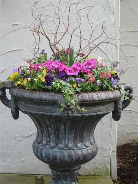 17 Best Images About Spring Containers On Pinterest Gardens