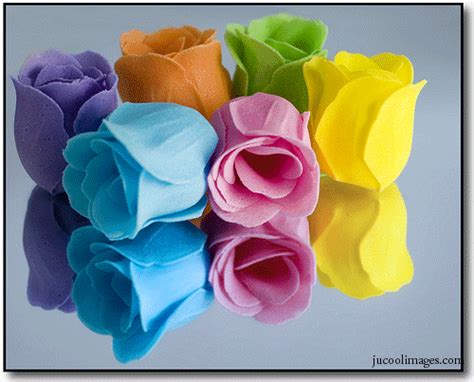 Which Colour Would You Choose Roses Fan Art 18815894 Fanpop