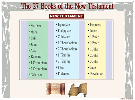 The Books Of The New Testament New Testament Bible Study Bible