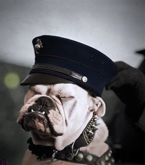 Devil Dog Circa 1925 Colorized Rusmc