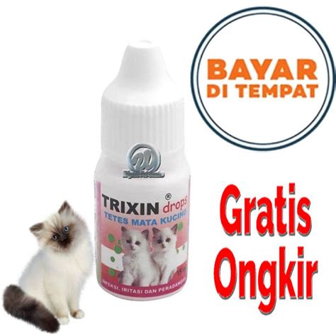 Obat tetes mata erlamycetin chloramphenicol dexamethasone sod. Obat Tetes Mata Untuk Kucing Belekan - Berbagai Mata