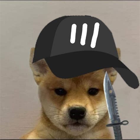 Dog Helmet Meme Funny Memes