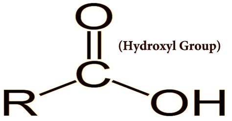 Hydroxyl Group Assignment Point
