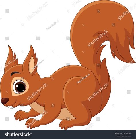 351056 다람쥐 이미지 스톡 사진 및 벡터 Shutterstock