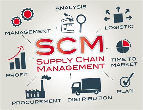 The Role Of Benchmarking In Continuous Supply Chain Improvements