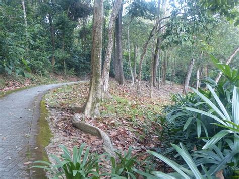 Taman rekreasi bukit jalil is a taman located in kuala lumpur. Bukit Jalil Lakeview - Picture of Taman Rekreasi Bukit ...