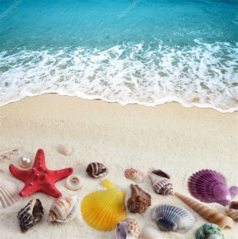 Sea Shells On Sand Beach ⬇ Stock Photo Image By © Tihon6 6193790