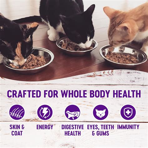 The first step is complete, you understand the different types of food available, and you're instead, the wellness complete health wet food gives them a huge dose of protein, which they need if they are going to retain strong muscles and the. Wellness Complete Health Kitten Formula Grain-Free Canned ...