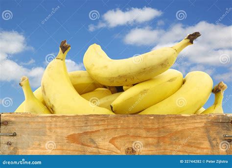 Fresh Bananas In A Wooden Crate Stock Photo Image Of Wooden Lunch