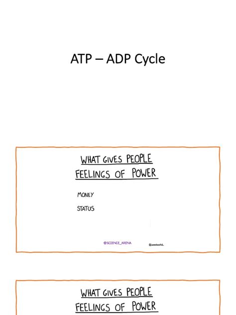 Lesson 13 Atp Adp Cycle Pdf