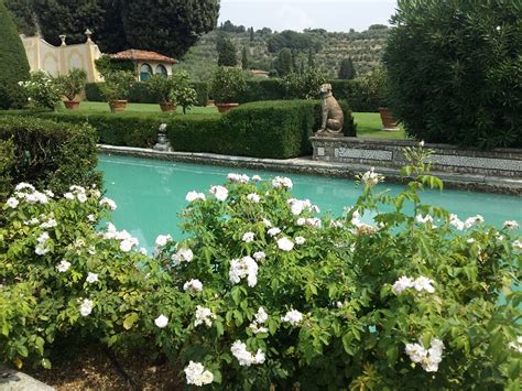 My Flora Guide Garden Guided Tour At Villa Gamberaia