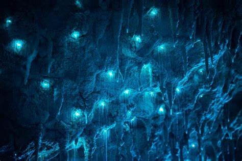 Luminosity A Photographer Captures A Cave Lit By Bioluminescent Worms