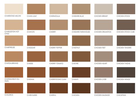 Pin By ★ Unepuce ★ On Joaquin Brown Color Palette Brown Color Names