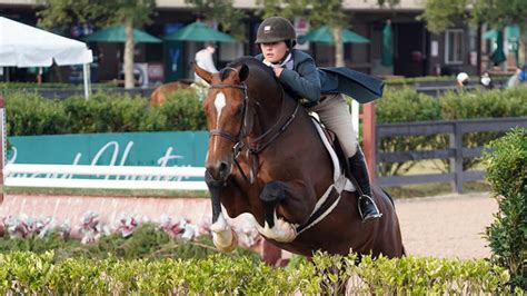 Augusta Iwasaki Claims Double Victory In K Ushja International Hunter Derby At Tryon Fall
