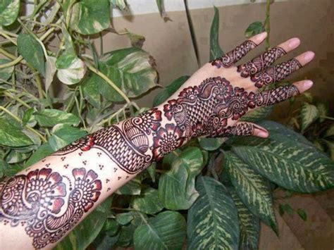 Top 999 Hd Mehndi Design Images Free Download Amazing Collection Hd
