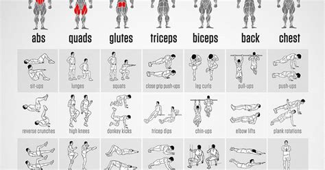 Download Bodyweight Exercise Pdf Bodyweight Exercises Chart