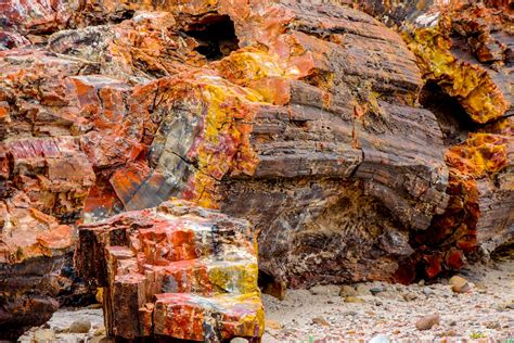 Getting Off The Well Beaten Path Why You Should Visit Petrified Forest