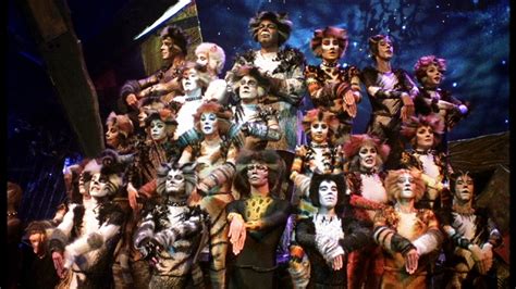 Cats The Musical A Preview Watch Great Performances Pbs Online