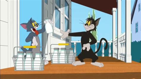 Tom And Jerry New Episodes In Hindi Bad Butch Tom And Jerry Show