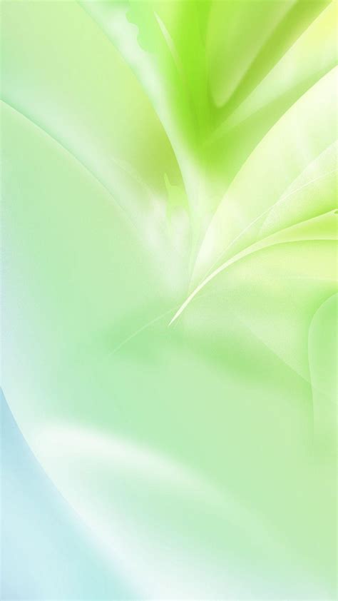 White And Green Wallpapers Top Free White And Green Backgrounds