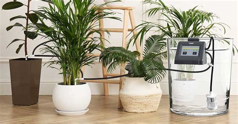 Best Automatic Watering System For Indoor Plants 2023 Updated Nerd