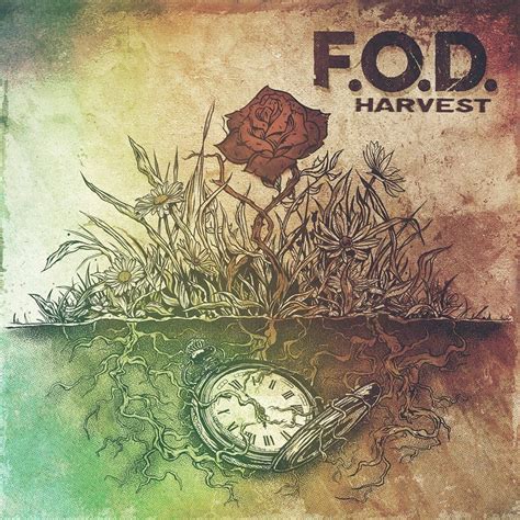 Melodic Punk Style Belgium Punk Rock Band Fod Stream New Song Last
