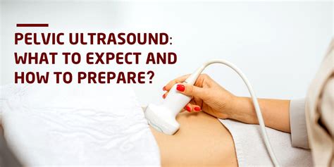 Pelvic Ultrasound What To Expect And How To Prepare Blog Trivitron Healthcare Solutions