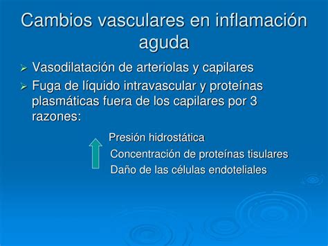 Ppt InflamaciÓn Powerpoint Presentation Free Download Id4585649