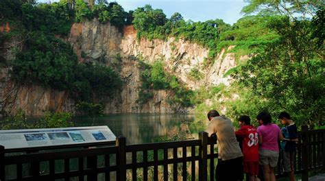 reserva natural de bukit timah en bukit panjang expedia