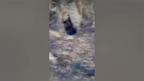 Real Giant Caught On Camera In A Cave In Mexico Darkivaverse Youtube