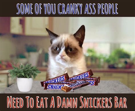 Grumpy Cat Grumpy Cat Grumpy Cat Humor Best Funny Pictures