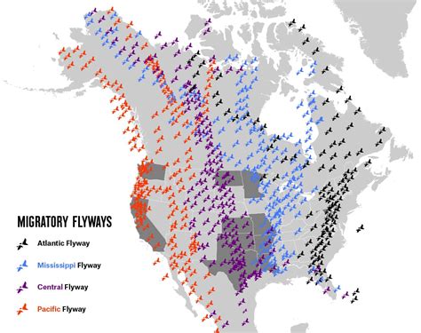 Best Duck Hunting States Onx Hunt