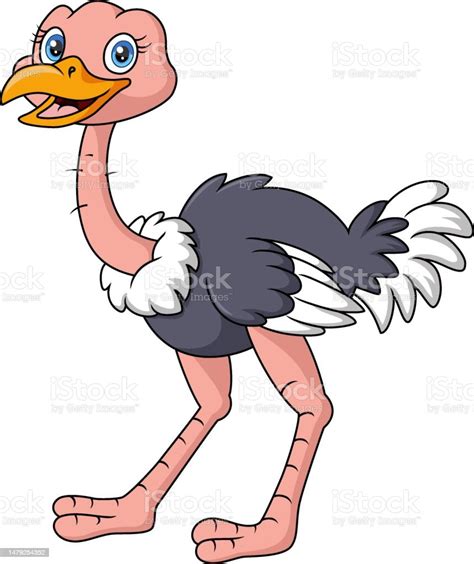 Cute Ostrich Cartoon Isolated On White Background Stock Illustration