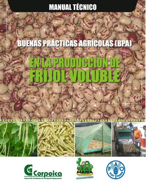 PDF MANUAL TÉCNICOMANUAL TÉCNICO BUENAS PRÁCTICAS AGRÍCOLAS BPA EN