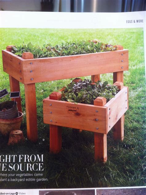 We did not find results for: Cedar Raised Bed-on-Legs from Williams-Sonoma.com | Edible garden, Trough planters, Backyard