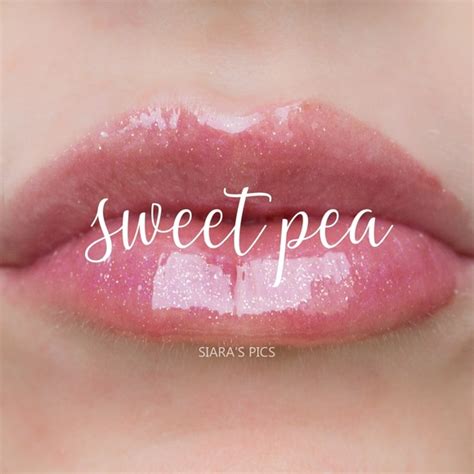 Lipsense Makeup Sweet Pea Lip Gloss Limited Edition Poshmark
